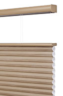 PL-Cellular-Shades-Cordless-TDBU-Open