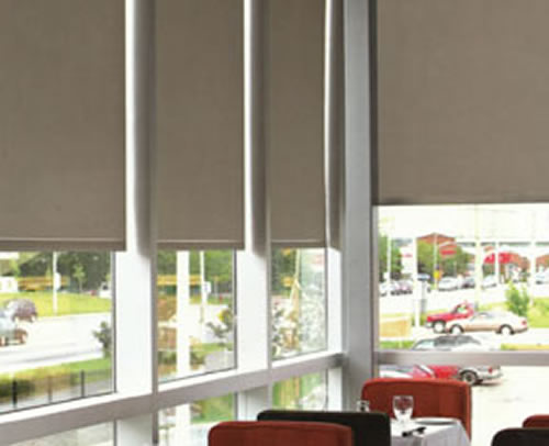 affordable-vinyl-commercial-plastic-shades