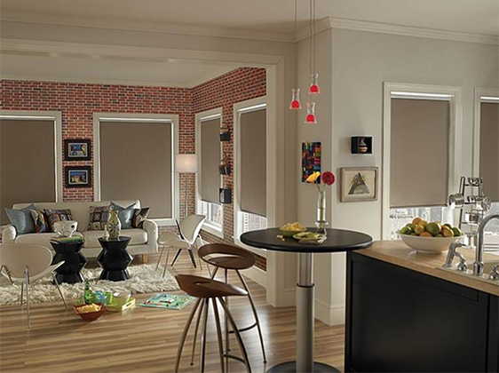 blackout-roller-shade-gallery