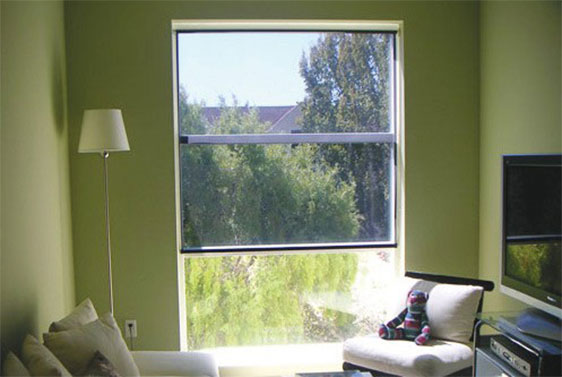 Green-Wall-Interior