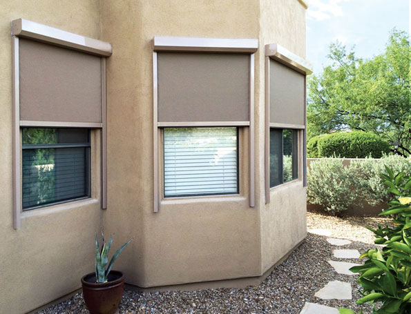 citadel-classic-chestnut-windows
